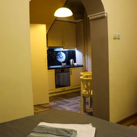 Alma Panonia Apartments- Old Town شقة نوفي ساد