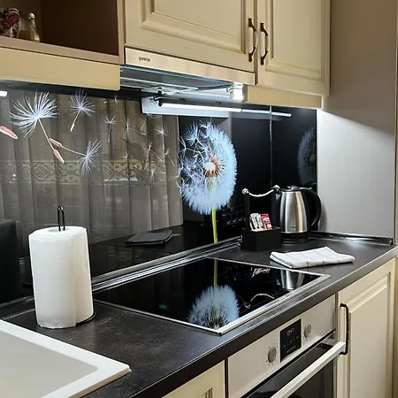 Alma Panonia Apartments- Old Town شقة نوفي ساد